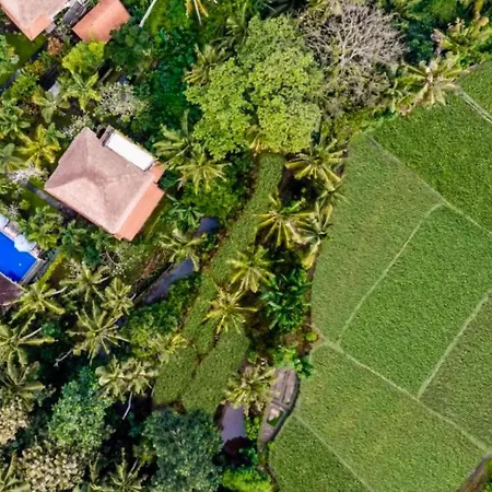 Fullara 1 Bedroom Suite With Rice Field View Zn240